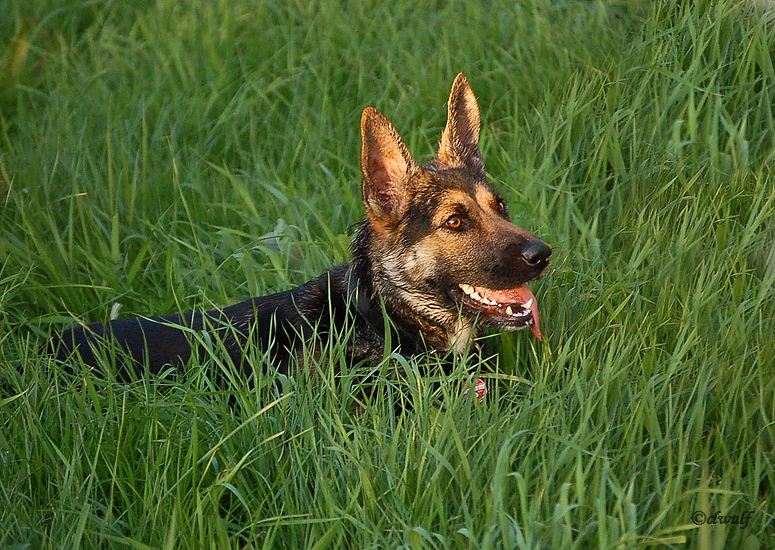 Maya, die Kleine von nebenan...