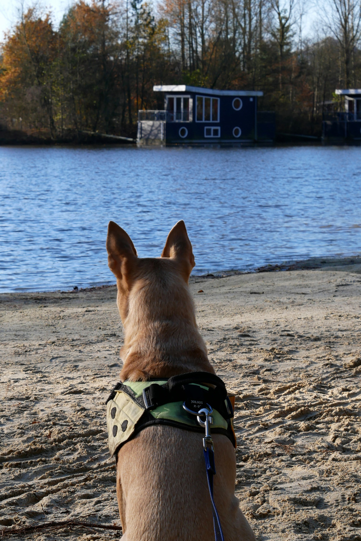 Maya im Center Parcs Bispinger Heide