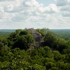 MAYA Pyramide in Calakmul, Mexico.