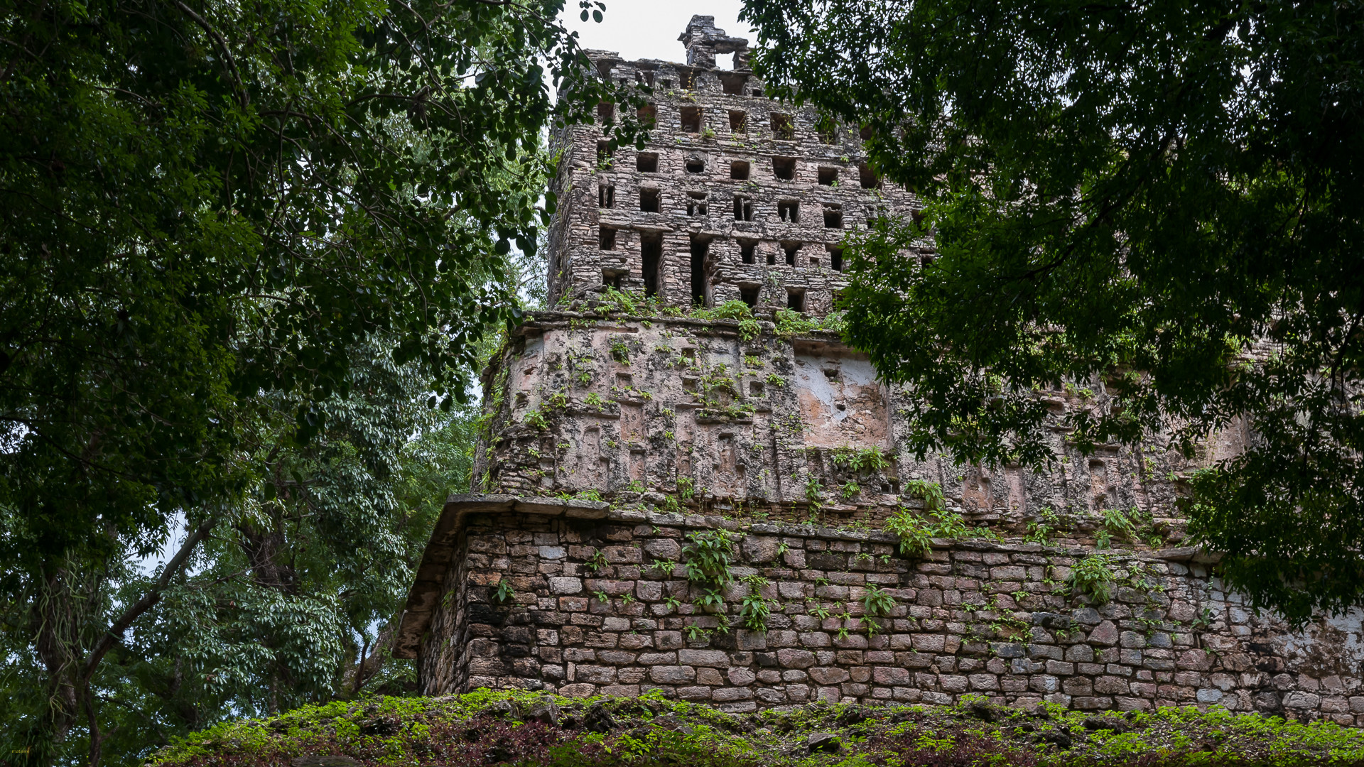 Maya Ruinen Yaxchilán - Templo Mayor