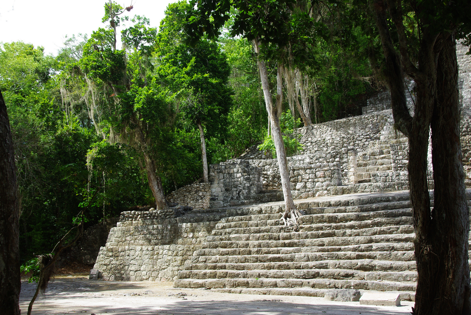 Maya Tempel Calakmul