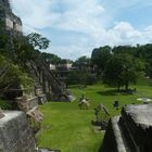 Maya Tempel in Tikal