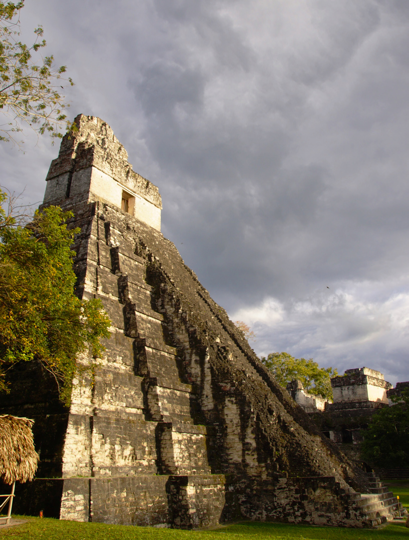 Maya - Tempelpyramide I Tikal Guatemala