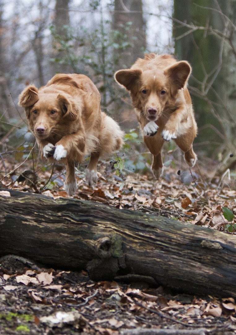 Maya und Cleo