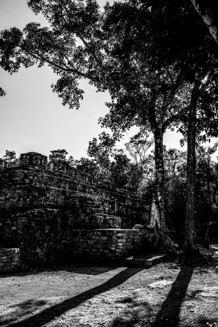 Mayan Ruins