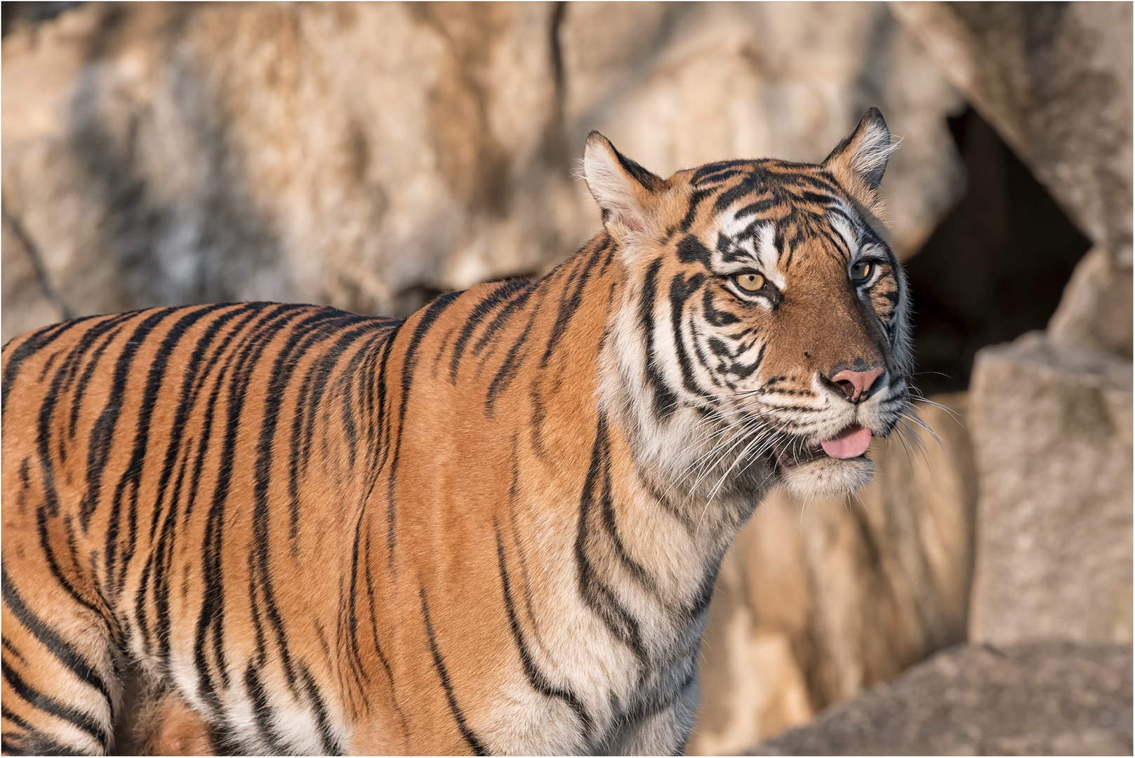 Mayang..... Foto & Bild nature, world, berlin Bilder auf