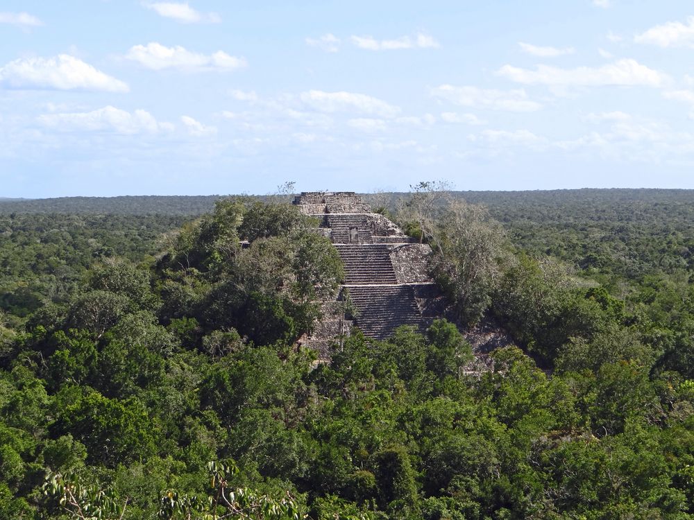 Mayapyramide in Calakmul