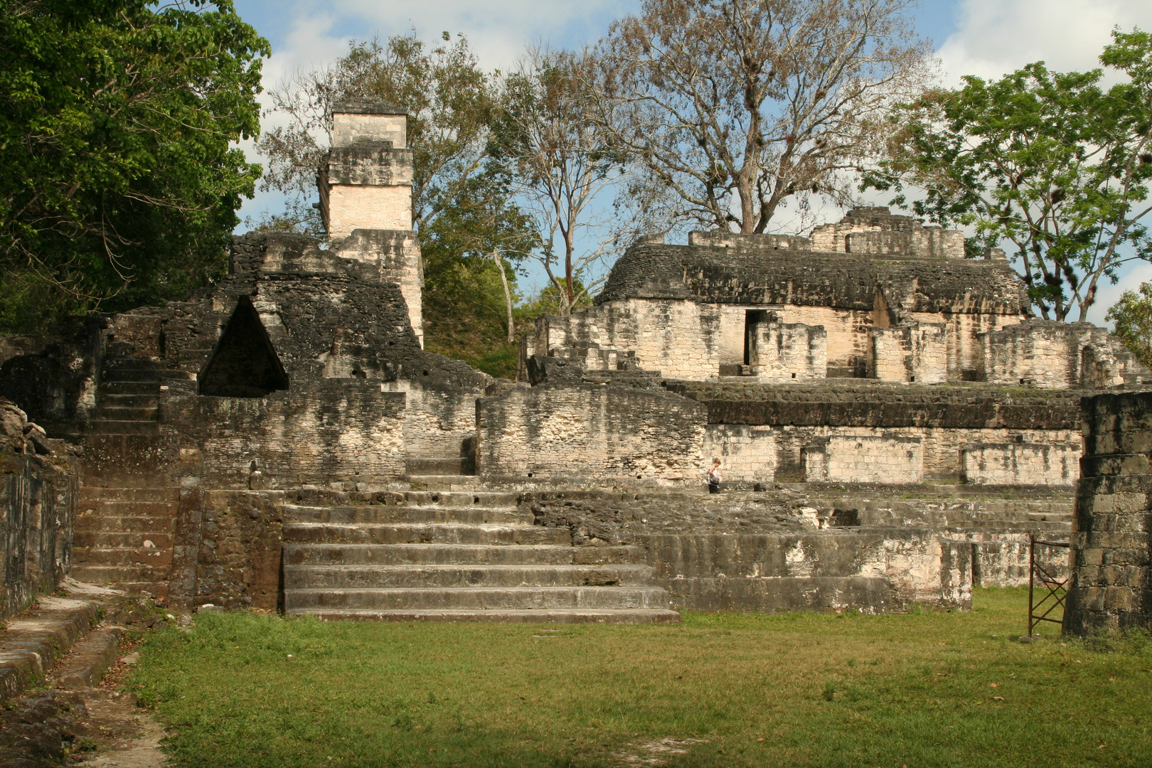 Mayapyramide Tikal  in Guatemala