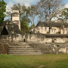 Mayapyramide Tikal  in Guatemala