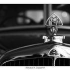 Maybach 12