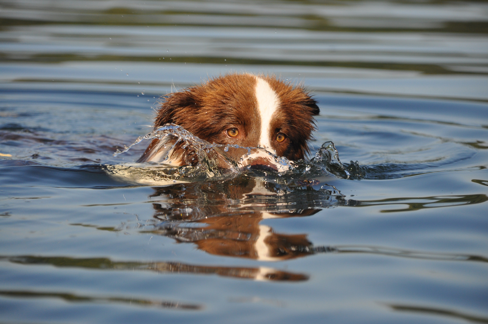 Maybe und ihr Wasser