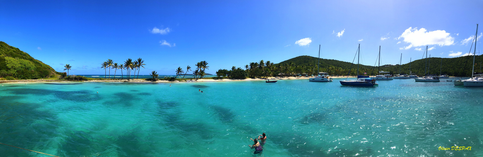 MAYREAU, le joyau des Iles Grenadines dans les Caraïbes