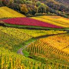 *Mayschoß @ der rote Weinberg*