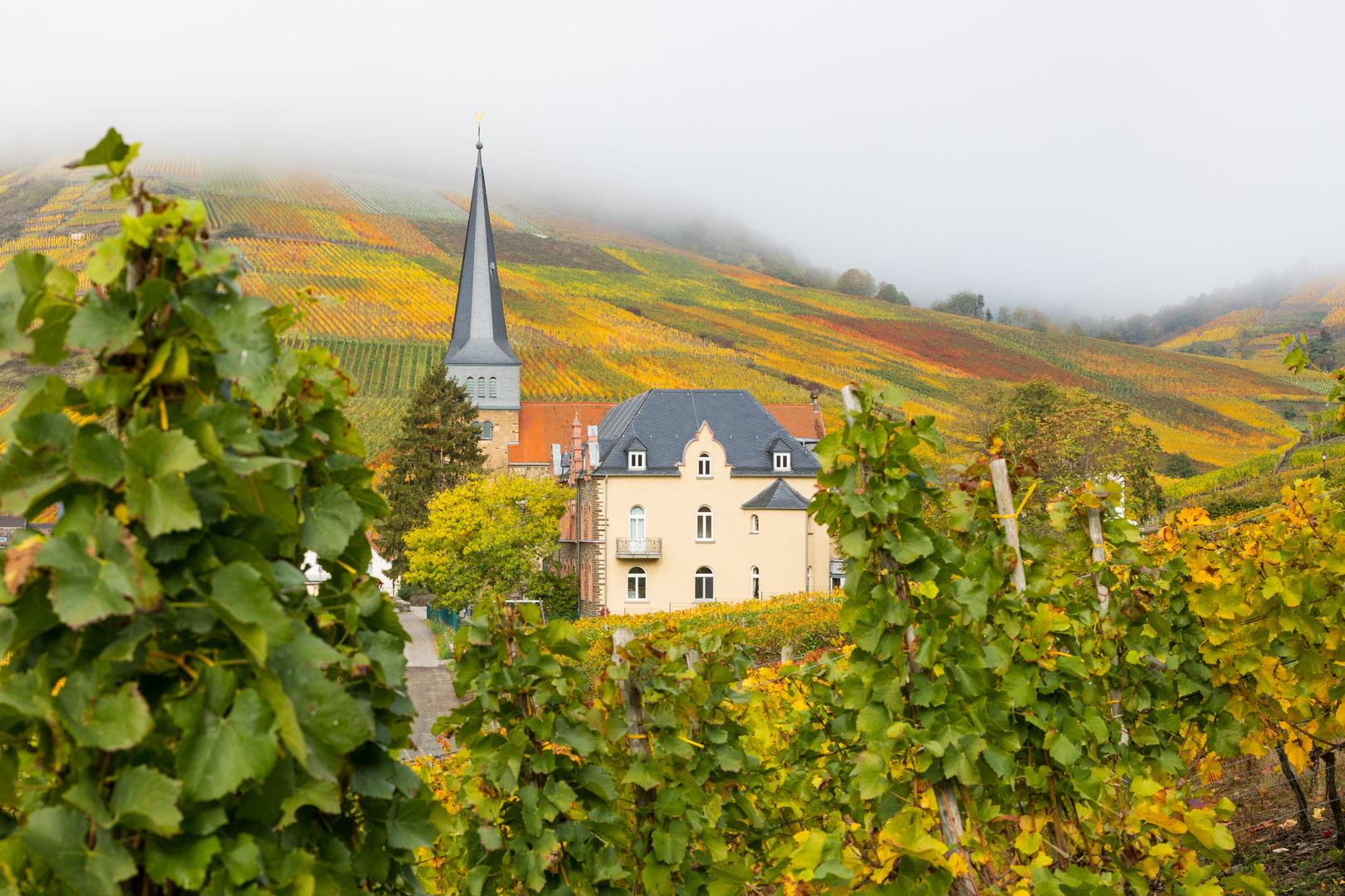 Mayschoß im Herbst