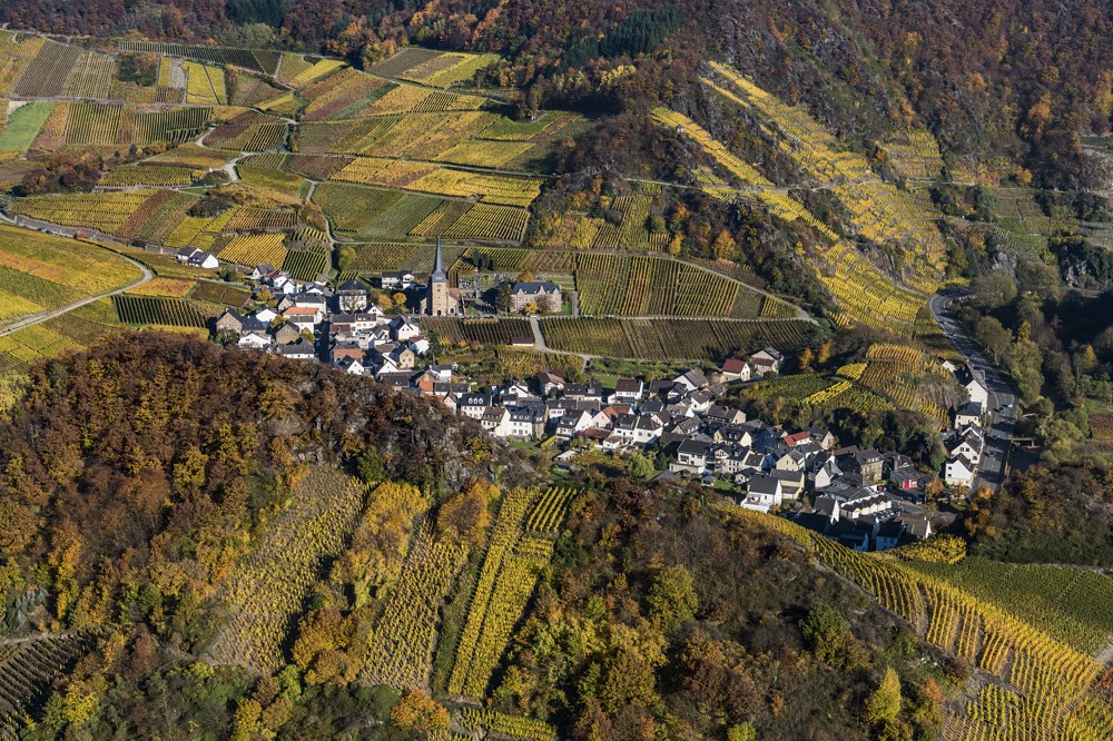 *Mayschoß im Herbst*