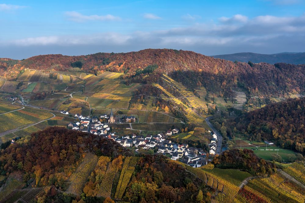 *Mayschoß im Herbst II*