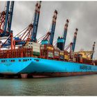 Mayview Maersk 