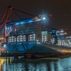 MAYVIEW MAERSK @ Hamburg Waltershofer Hafen