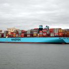 Mayview Maersk In Bremerhaven 