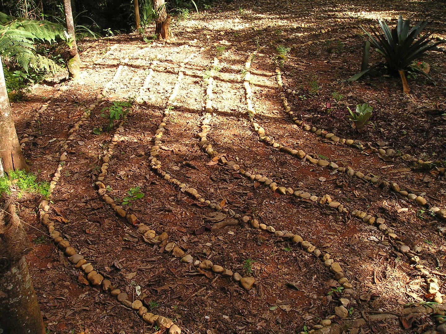 Maze with an entrance and an exit