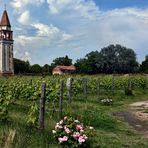 Mazzorbo - Spitzenwein aus der Lagune von Venedig - 