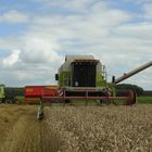 MB-Trac 900 Claas Dominator 108