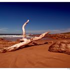 Mbotyi Beach Wildcoast