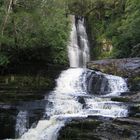 Mc Lean Falls, South Island, New Zealand