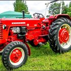 McCormick D - 436  Standard