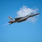 McDonnell Douglas F-15C Eagle