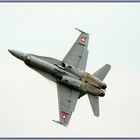 McDonnell Douglas FA-18  2019-05-25 067 Swiss Air Force