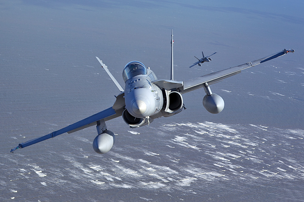 McDonnell Douglas F/A-18 - Finnish Air Force II Foto & Bild | luftfahrt ...