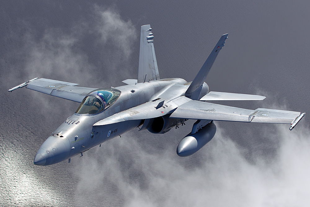 McDonnell Douglas F/A-18 - Finnish Air Force III