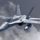 McDonnell Douglas F/A-18 - Finnish Air Force III