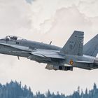 McDonnell Douglas FA-18 Hornet