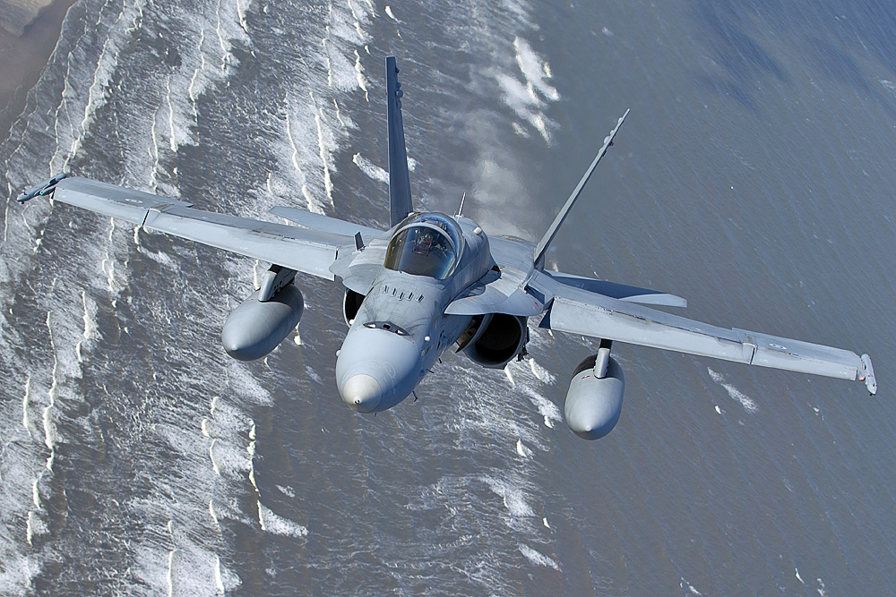 McDonnell Douglas F/A-18C - Finnish Air Force