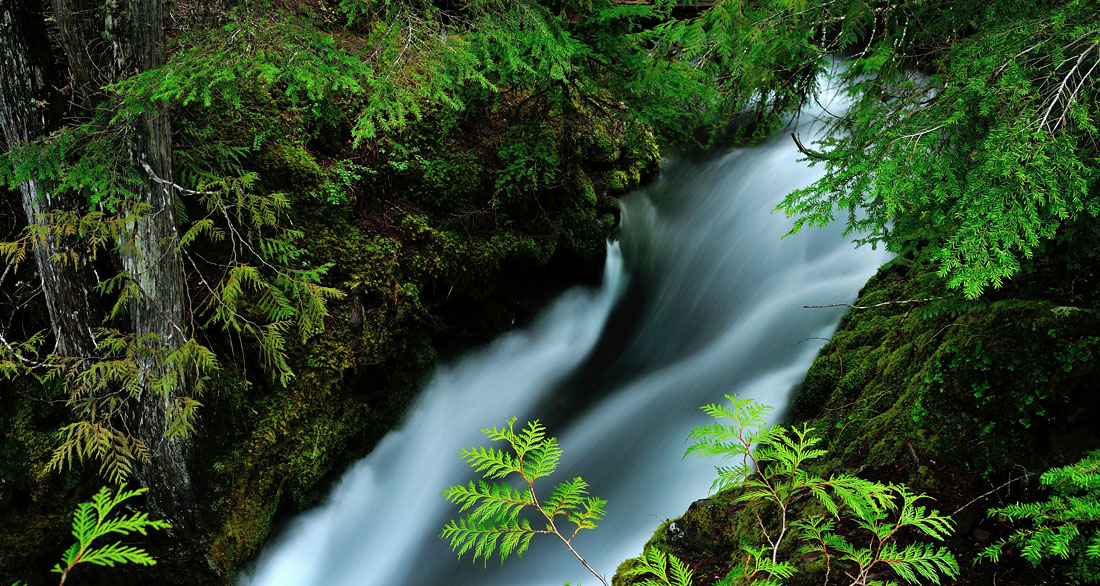 McKenzie River