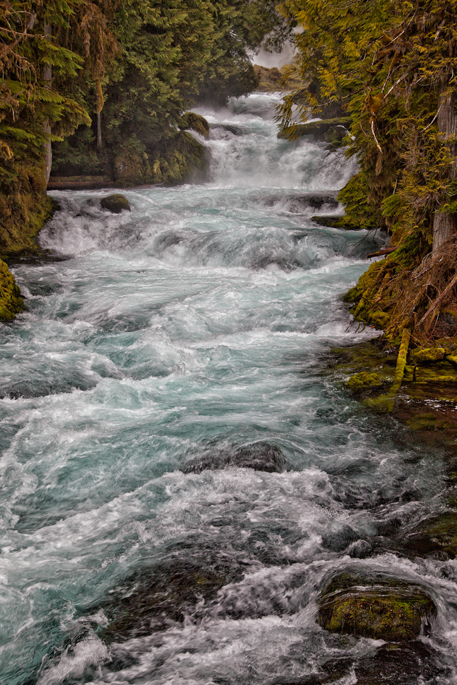 McKenzie River