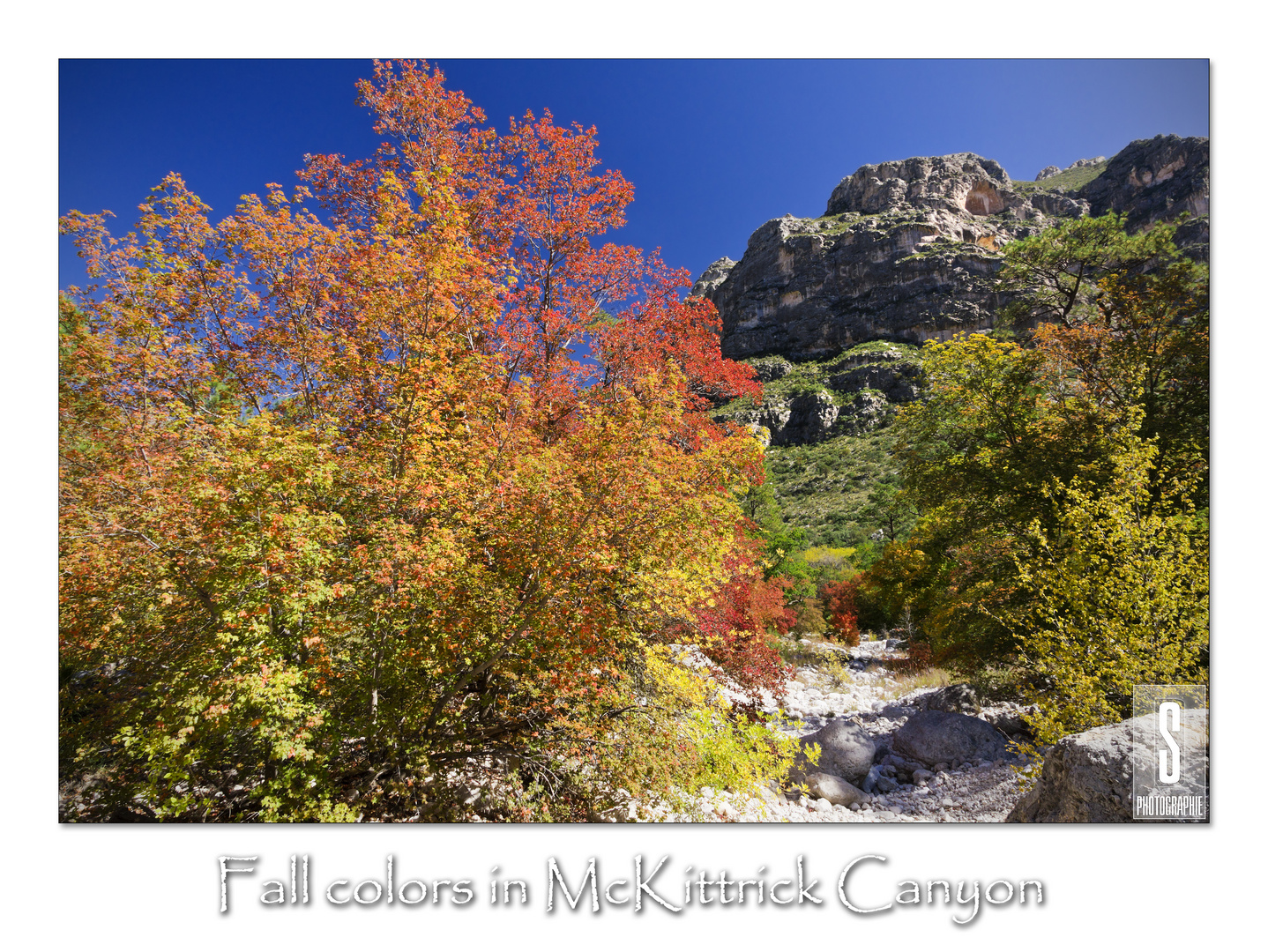 McKittirck Canyon