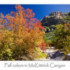 McKittirck Canyon