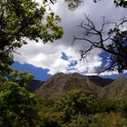 McKittrick Canyon