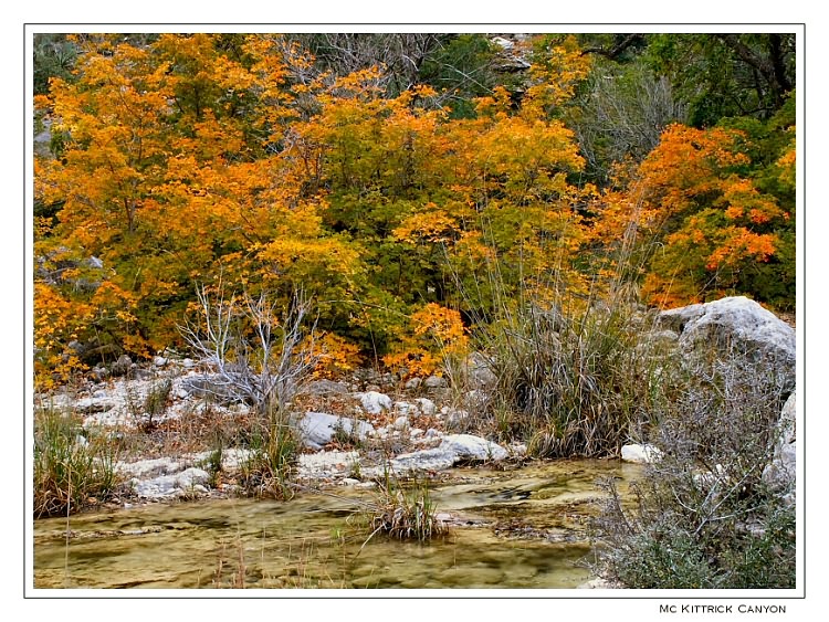 McKittrick Canyon