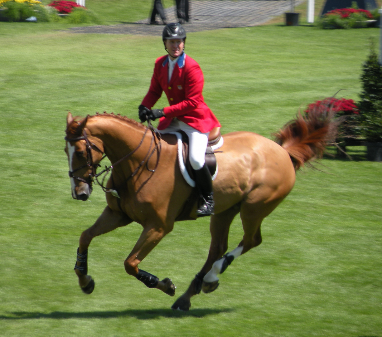 McLain Ward & Pjotter vd Zonnehoeve