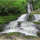 McLean Falls