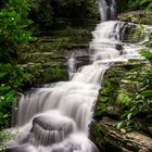 McLean Falls