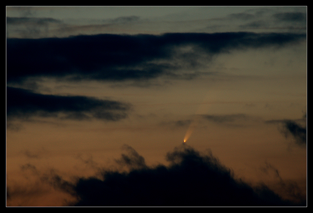 McNaught