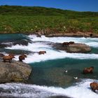 McNeil River Falls