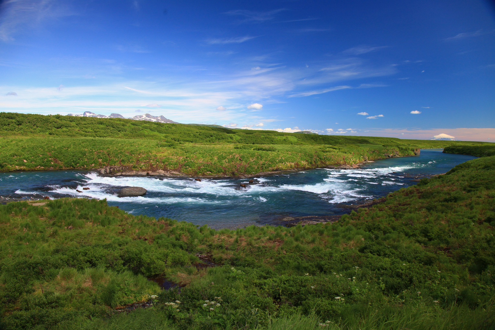 McNeil River Falls, River of Bears