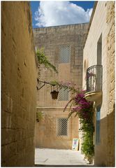 Mdina ....