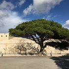 Mdina 